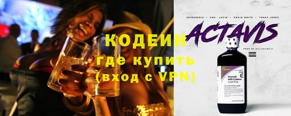крисы Богородицк