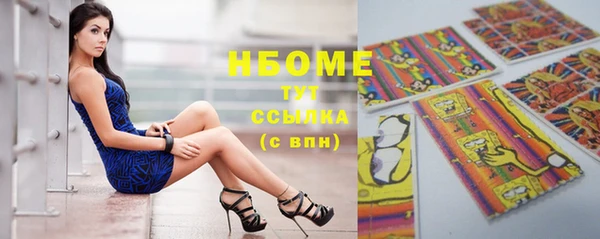 крисы Богородицк