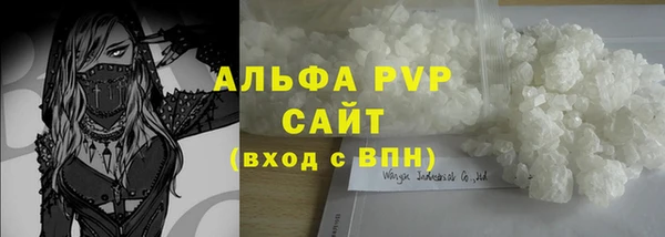 спайс Богданович