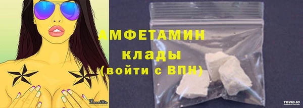 крисы Богородицк