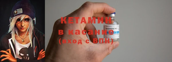 крисы Богородицк