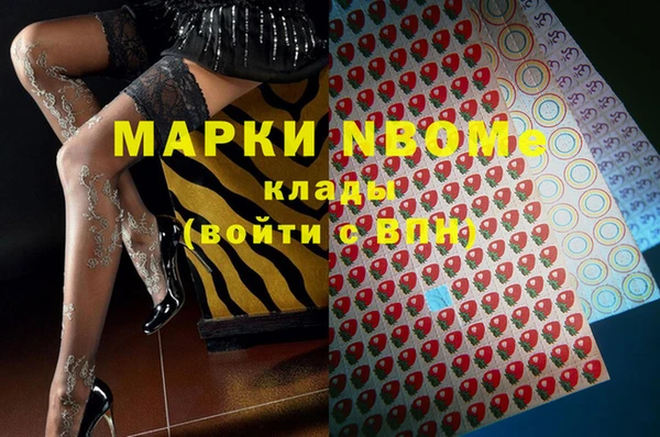 крисы Богородицк
