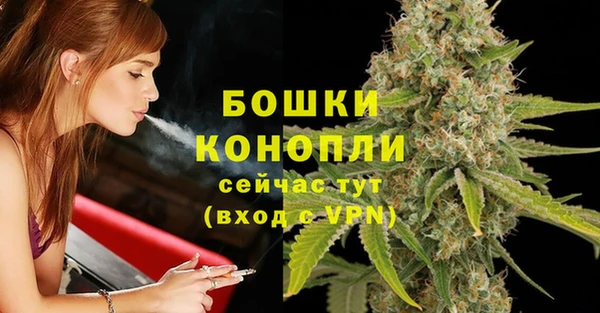 крисы Богородицк
