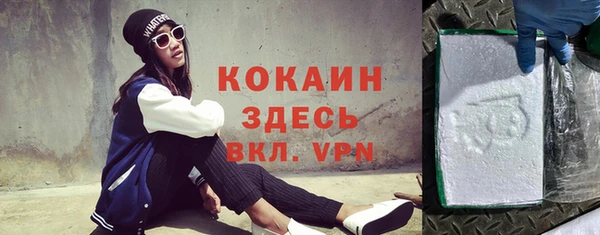 спайс Богданович