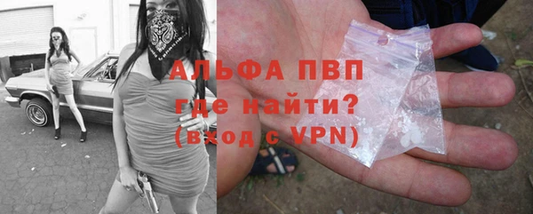 спайс Богданович